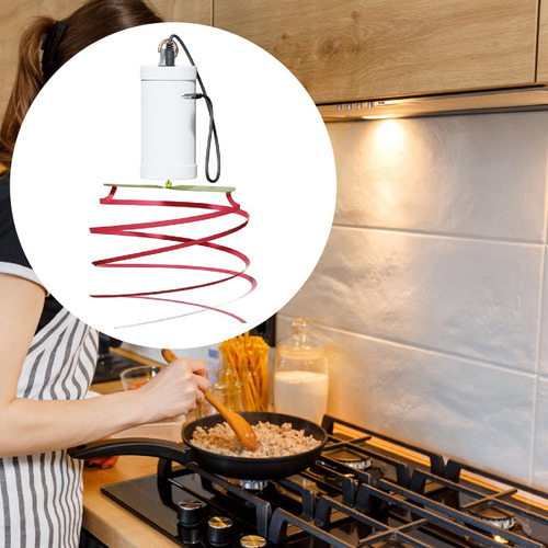 Holgas De Ventiladores De Techo De Moscas De La Comida De