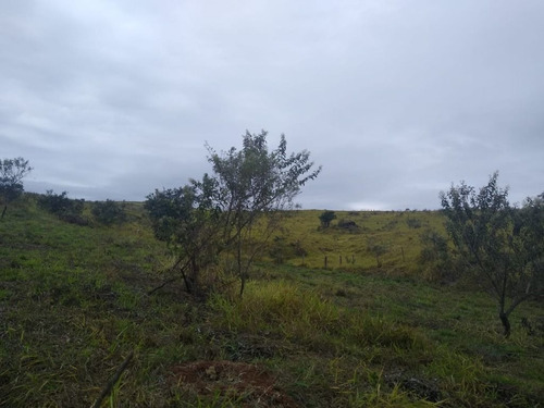 Imagem 13 de 30 de Chácara À Venda, 21 M² Por R$ 550.000,00 - Sousas - Campinas/sp - Ch0526