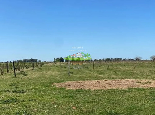Alquiler De Casa En Canelones Con 4 Hectareas De Campo