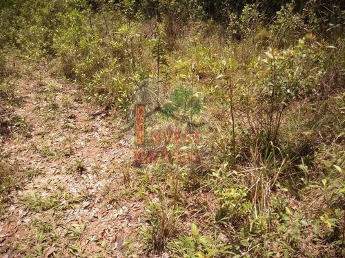 Imagem 1 de 7 de Terreno - Ref: 2985 - V-2985