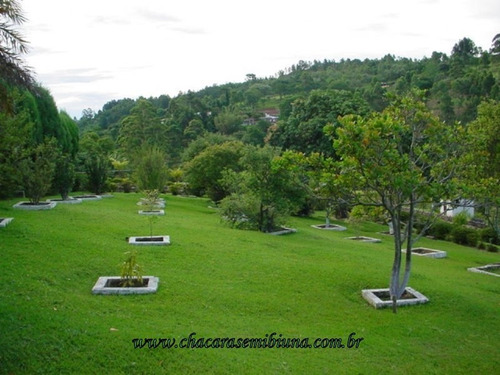 Imagem 11 de 30 de Sitio - 2321 - 33408976