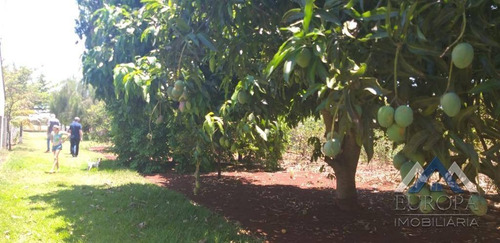 Chácara Com 3 Dormitórios À Venda, 2000 M² Por R$ 290.000,00 - Gaspareto - Alvorada Do Sul/pr - Ch0118