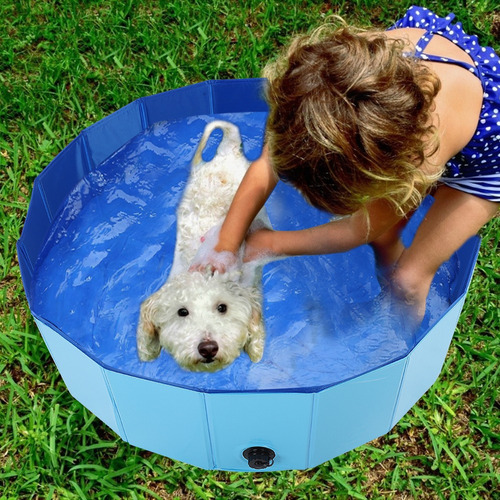 Baño Para Mascotas, Bañera, Piscina Para Perros, Piscinas Pl