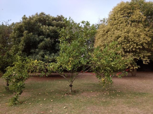 Imagen 13 de 14 de Casa De Campo - Quinta Macondo --- Alojamiento Y Eventos