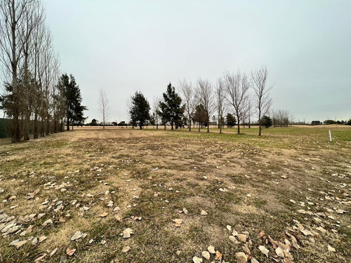 Imagen 6 de 12 de Terreno - La Rinconada - Lote 36 - 1000m2