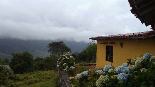 Casa Con Terreno Para La Agricultura O Parcelamiento