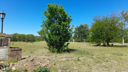 Imagen 3 de 22 de Lote Terreno 93 En Venta. Barrio La Elina, Comarcas De Luján. Country. Zona Oeste