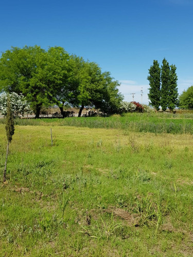 Venta Quinta Con Estanque Propio