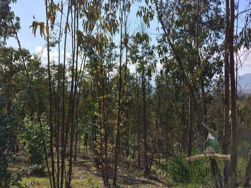 F-190 Valle Alegre, Quintero, 20.000m2