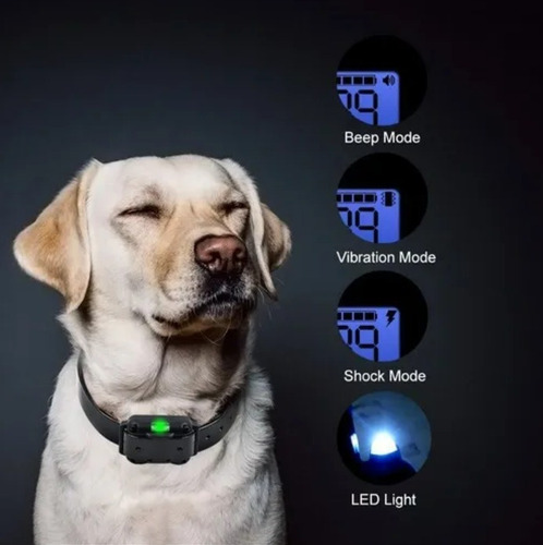 Collar De Entrenamiento Para Perros Con Descarga Eléctrica I