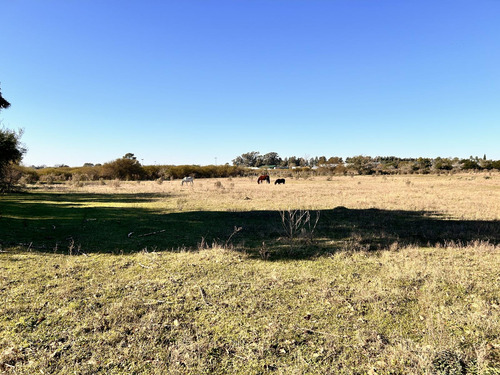 Terreno En Gualeguaychu