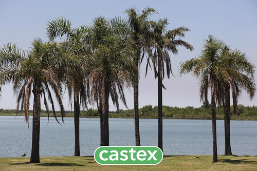 Imagen 8 de 10 de Barrio Privado - Los Castores