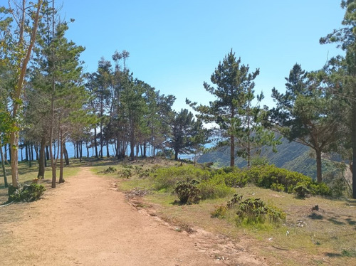 Comoda Y Moderna Casa A 18 Minutos Del Centro De Algarrobo