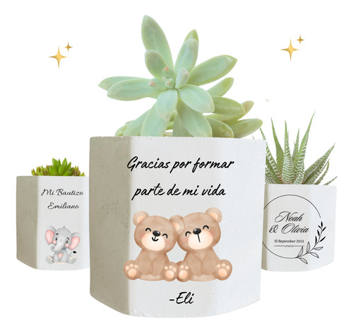 Recuerdos Fiesta 10 Macetas - Personalizables Suculentas