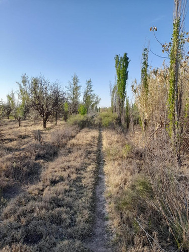 Finca Con Produccion Y Vivienda