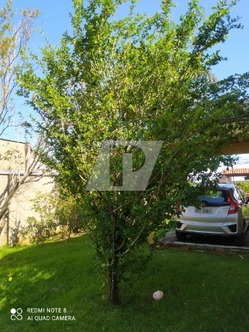 Imagem 29 de 30 de Chácara Com 500 M² Localizada Em Saltinho - Ch00138 - 70582871