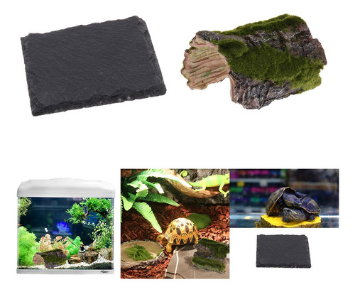 Acuario Adorno Del De Peces Ocultar Cueva Con Tortuga