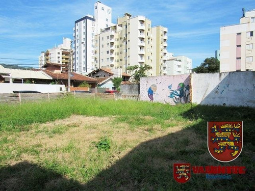 Imagem 3 de 14 de Terreno - Trindade - Ref: 761 - V-761