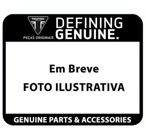 Imagem 1 de 2 de Seta Indicadora Tiger 800 2019 Triumph T2707444