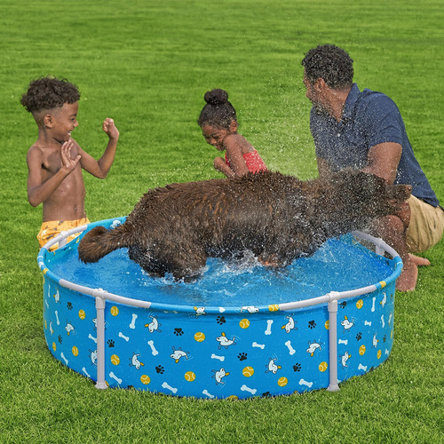 Alberca Para Mascotas Pscina Estructural Bestway Fetchin Fun Color Azul
