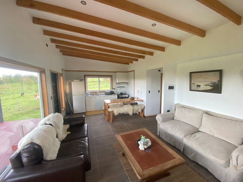 Chiloé Maravillosa Parcela Bosque Nativo 2 Excelentes Casas