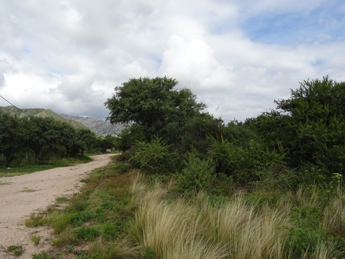 Lote 1600 Mts En Aguas Blancas - Cortaderas