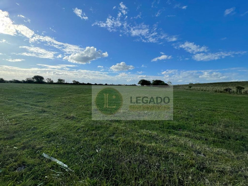 Campo En Venta De 53 Has. Con Vivienda Y Arroyo, Prox Minas
