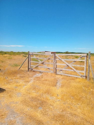 Estás Pensado En Adquirir Una Propiedad Cerca De La Playa