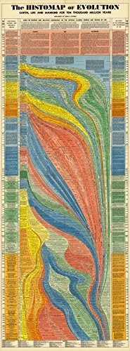 Histomap Of Evolution (tamaño 16  X43 ) Investigación Cientí