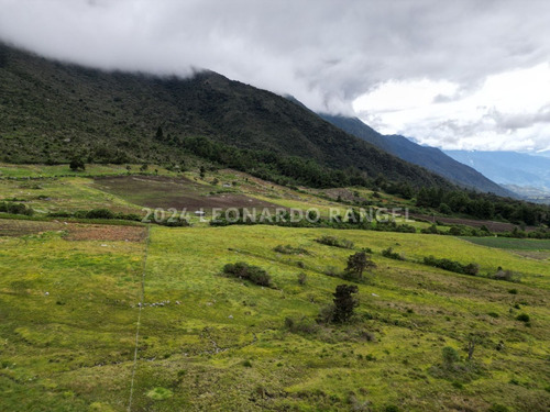 Se Vende Terreno De 6 Hectáreas En La Culata, Mérida.