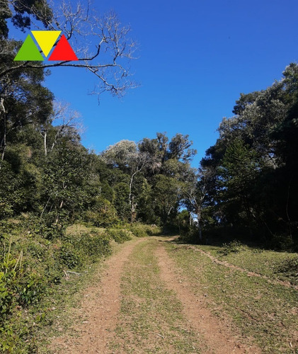 Imagem 22 de 27 de Sitio - St00016 - 69926455