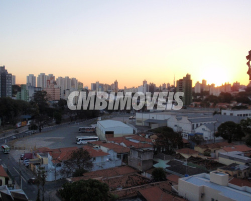 Apartamento Para Locação No Bairro Botafogo Em Campinas - Ap21939 - Ap21939 - 69324579