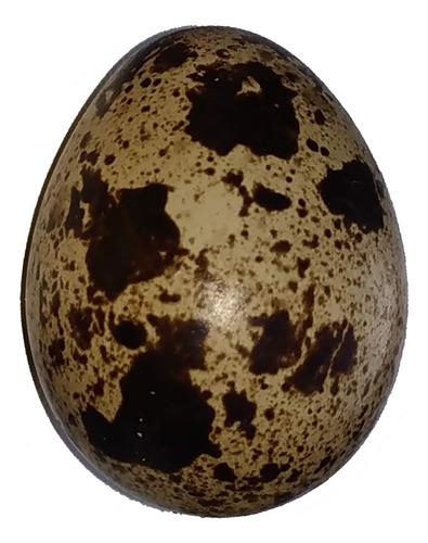 Huevos De Codorniz Para Consumo Por 20 Docenas