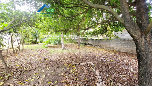 Imagen 12 de 14 de Se Vende Casa Con 1040 M2 De Terreno