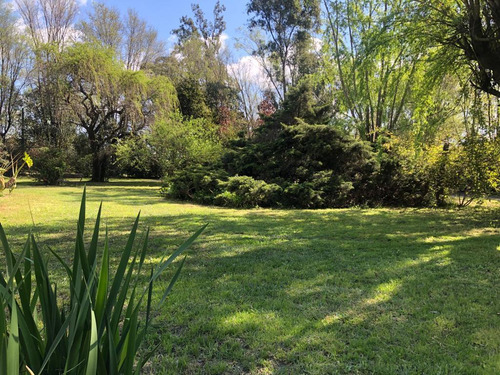 Imagen 18 de 20 de Quinta En Venta - 4 Dormitorios 3 Baños - 160 Mts2 - 9 De Julio