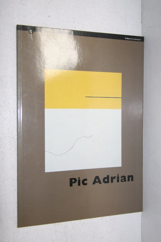 Catalogo Antologica Pic Adrian - Banco Bilbao Vizcaya 1994