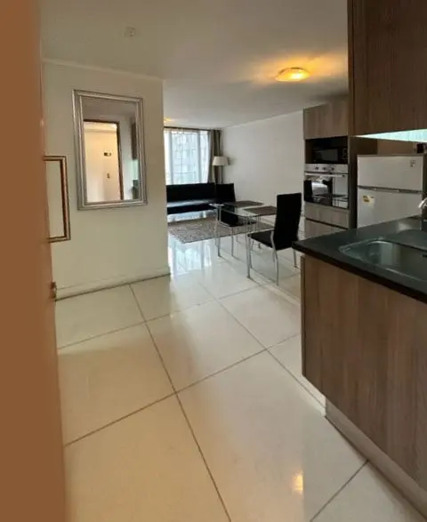 Imagen 4 de 13 de Departamento En Venta En Santiago
