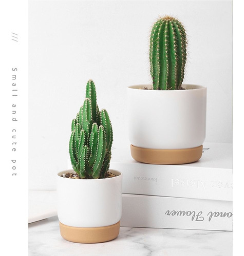 Macetas Para Orquídeas Maceta De Cerámica Para Flores De Int