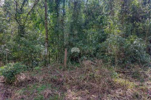 Imagem 4 de 8 de Área - Residencial - 931526