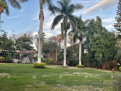 Imagen 26 de 30 de Venta Propiedad Centro Cuernavaca - V242