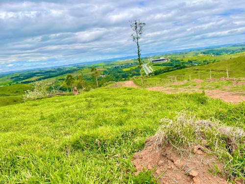 Imagem 7 de 8 de T22-terreno Na Planta