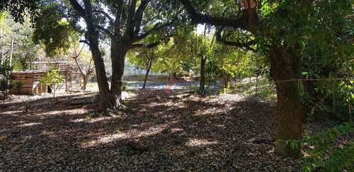Chácara À Venda Em Tanquinho Velho - Ch249223