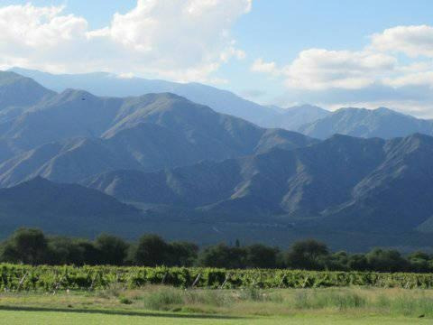 Terreno - Cafayate
