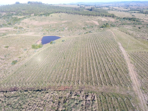 Exte. Establecimiento En La Sierra