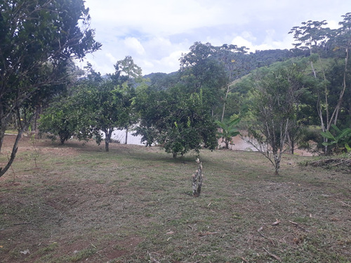 Vendo Ou Troco Chácara Em Iporanga Sp ( Caverna Do Diabo /parque Petar)