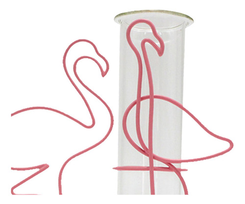 Florero De Tubo De Ensayo Hidropónico, Florero Flamenco