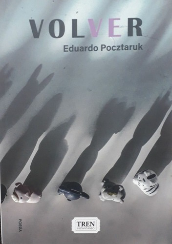 Volver - Eduardo Pocztaruk, de Eduardo Pocztaruk. Editorial Tren instantaneo en español