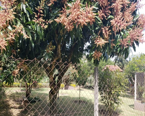Imagem 12 de 14 de Chacara - Ch00204 - 34933651