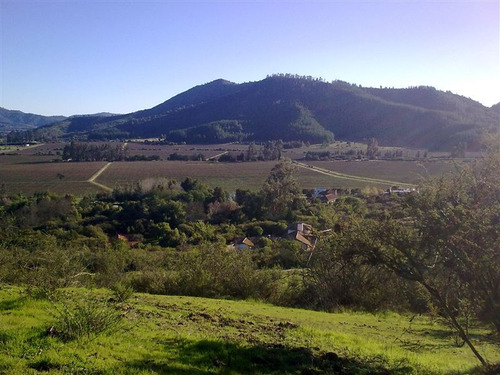 Venta De Parcela En Casablanca, Valle De Tapihue