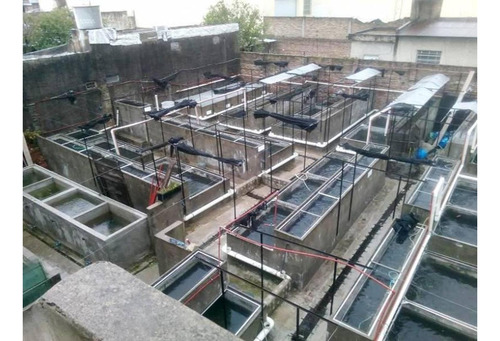 Excelente Oportunidad Comercial Fabrica O Deposito
